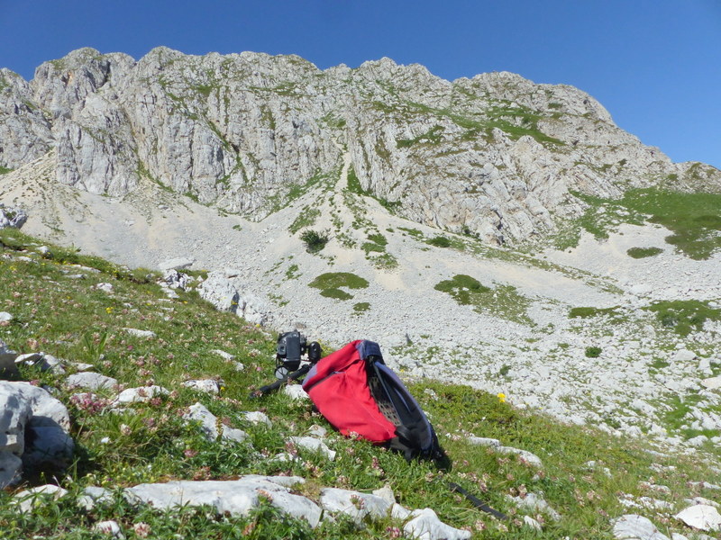 er Terminillo: la Nigritella widderi e altre orchidee sulla montagna di Roma.